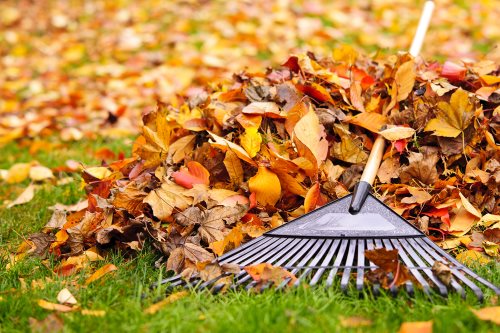 Fall Clean Up Services by Pro Landscaping