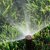 Forest Park Sprinklers by Pro Landscaping