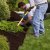 Fayetteville Spring Clean Up by Pro Landscaping