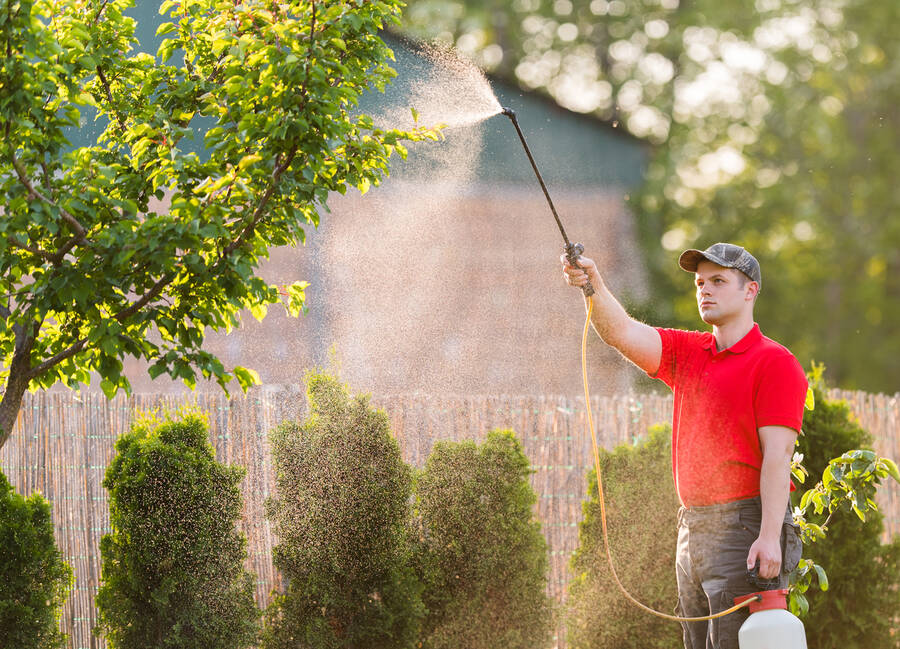 Tree Spraying by Pro Landscaping