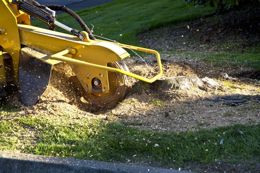 Stump Grinding & Stump Removal by Pro Landscaping
