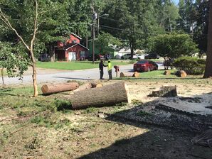 Tree Services in Atlanta, GA (2)